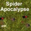 spider apocalypse